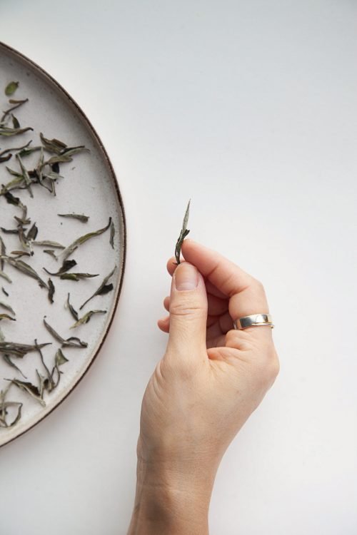 SILVER NEEDLE TEA CREATIVE