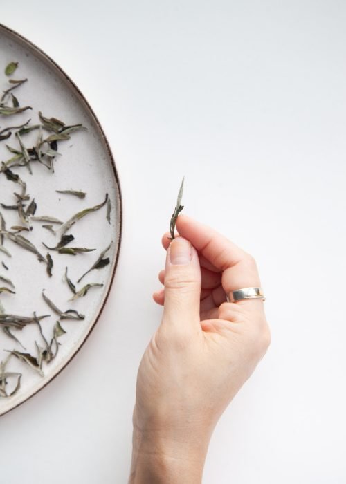 Auste marie media _ Silver Needle Tea Co_ photoshoot_II