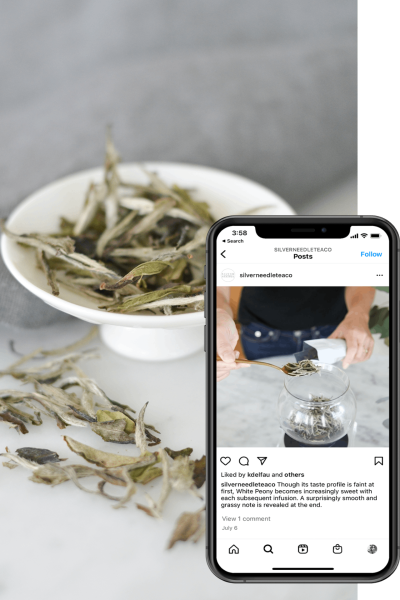 LIFESTYLE PHOTOGRAPHY FOR SILVER NEEDLE TEA